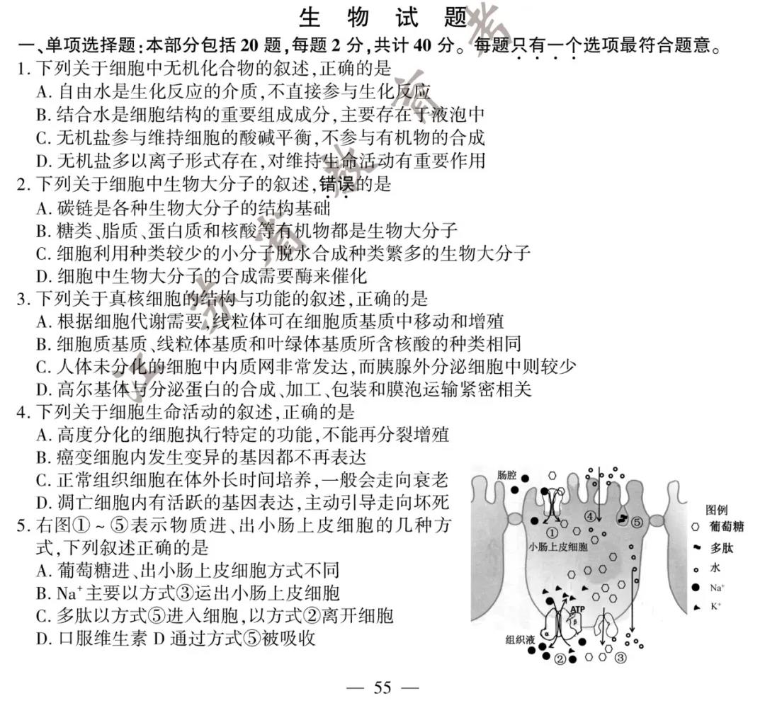 2020年江苏高考生物试题（图片版）1